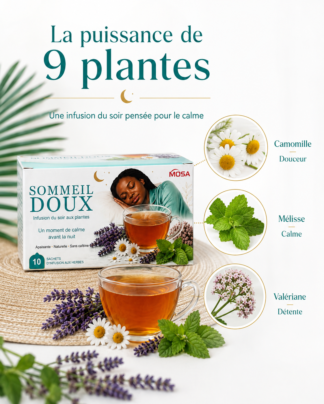 Composition végétale de l’infusion Sommeil Doux